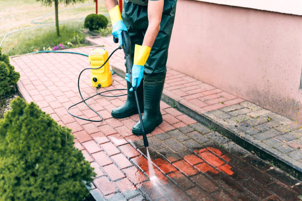 Best Roof Power Washing Services  in Terrell Hills, TX
