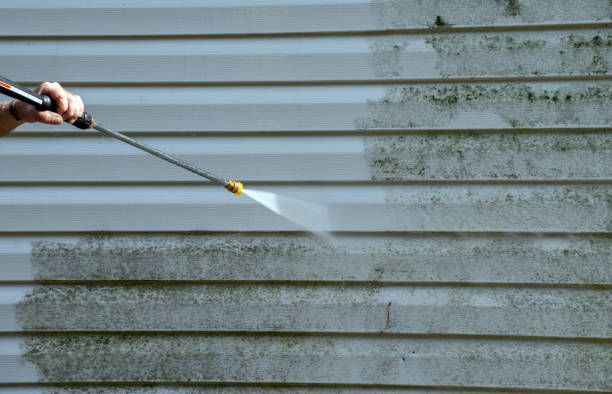 Best Pressure Washing Patio  in Terrell Hills, TX